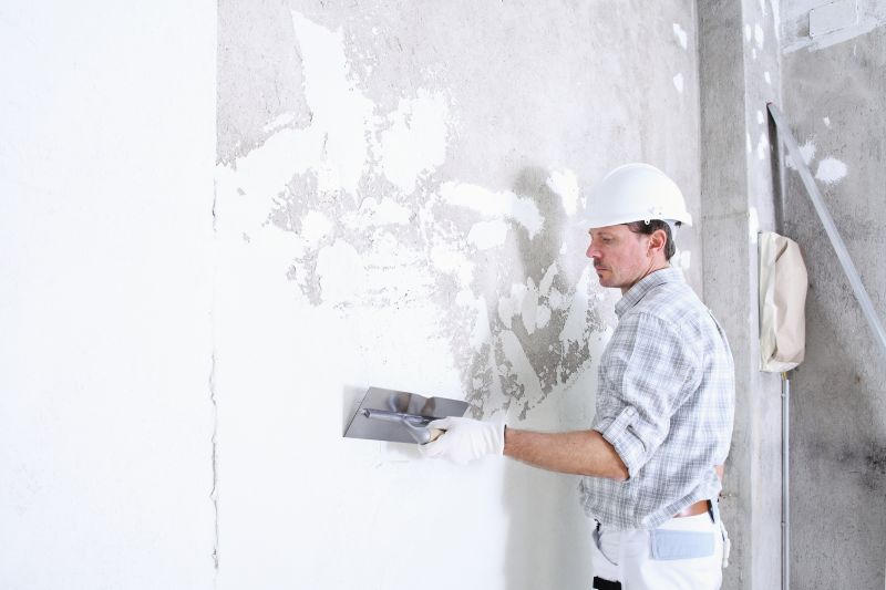 Plaster Repair