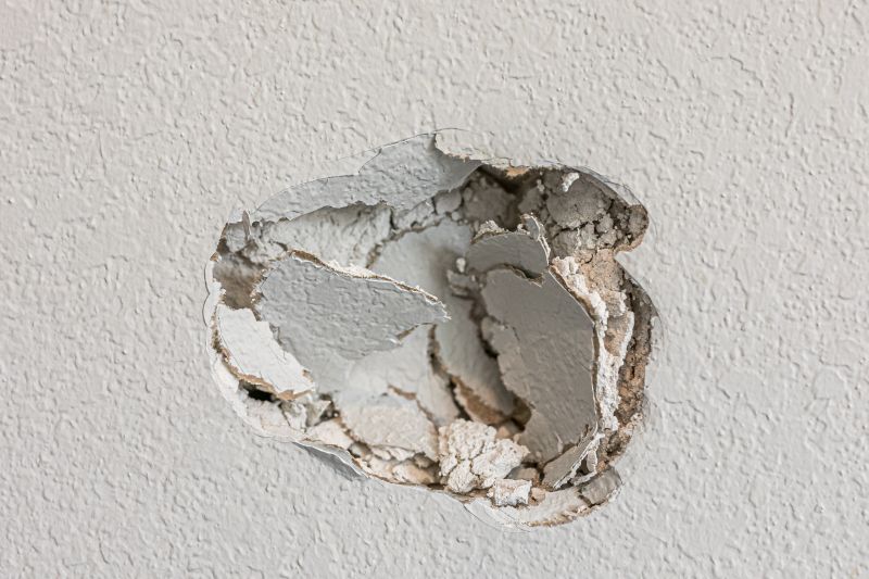 Plaster Repair