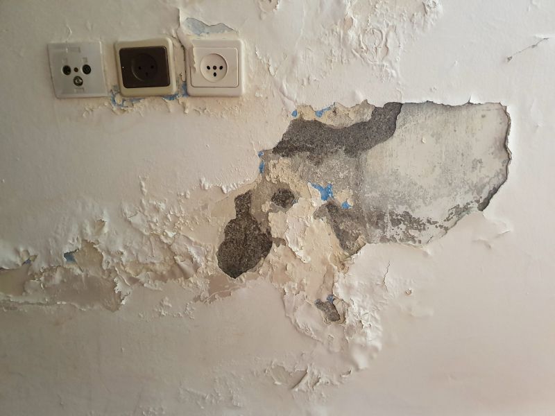 Plaster Repair in Spring