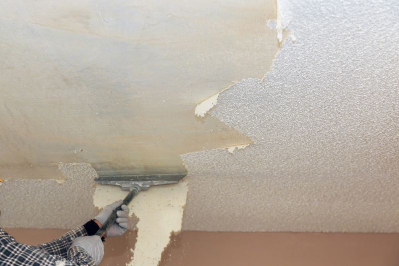 Swirl Ceiling Removal in Saint Paul, MN